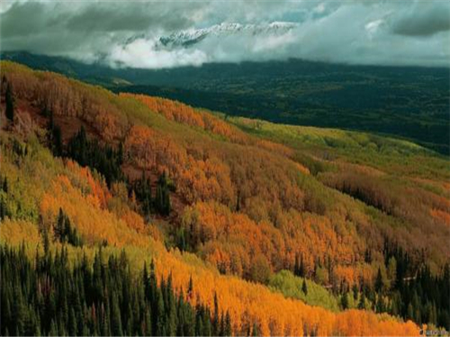 ���|ý����ȩЧ����ô�ӣ���ʲô��(j��ng)��(j��)��