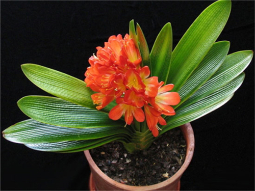 �՚��������ôʹ������ʲôע���c